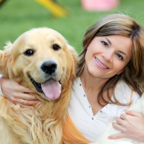 Canine Training in Santa Rosa, California