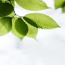 Air Duct Cleaner in Surrey, British Columbia