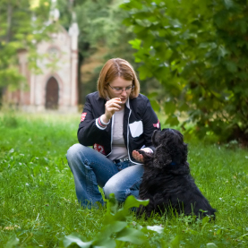 Dog Obedience in El Paso, Texas