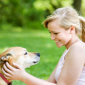 Puppy Training in Sparks, Maryland