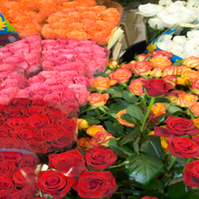 Flower Delivery in Irving, Texas