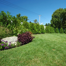 Landscape Renovations in Fountain Valley, California