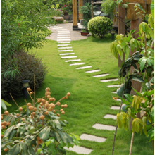 Landscaper in Orlando, Florida