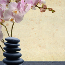 Thai-yoga Massage in Newark, Delaware