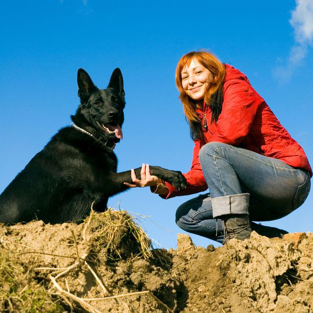 Pet Boarding in Carmel-By-The-Sea, California