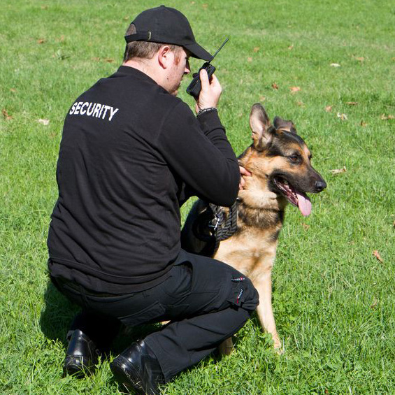 Residential Security in Lanett, Alabama